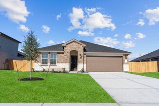 1323 Star Grass, Iowa Colony, TX 77583