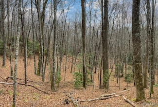 Lot 30 Peach Ct, Sapphire, NC 28774