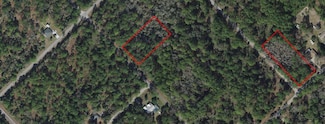 9251 N Evenstock Way, Crystal River, FL 34428