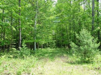 Lot 10 Pinehurst Dr, Lake Tomahawk, WI 54539
