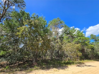 0 Selma Unit MFRTB8316277, Interlachen, FL 32148