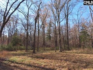 0 Bull Run Rd, Winnsboro, SC 29180