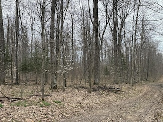 0 W Poglese Rd Unit 25-291, Marquette Township, MI 49745