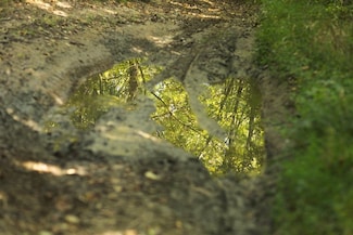 Stroud Ln, Centertown, KY 42328