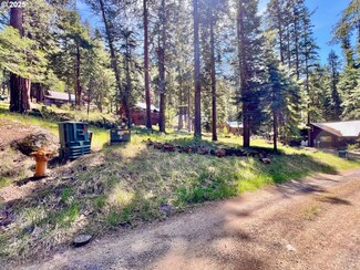 0 Forest Dell Ave Unit 622201546, Wallowalake, OR 97846