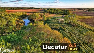 16803 180th St, Decatur City, IA 50067