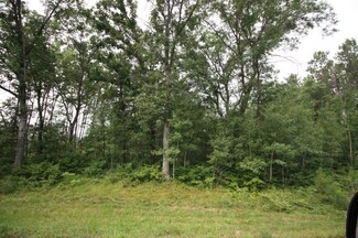 Lot 1 Blk 1 Crystal Ct, Merrifield, MN 56465