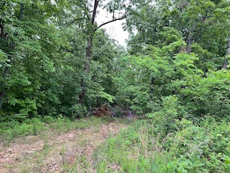 000 Water Oak Ln, Mammoth Spring, AR 72554
