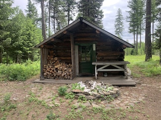 0 Cabin Unit 23675079, Wallowa, OR 97885