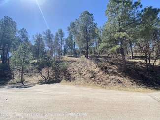 LOT 43 Sawmill Canyon Rd, Alto, NM 88312