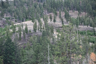 Nhn Medicine Springs Rd, Conner, MT 59827