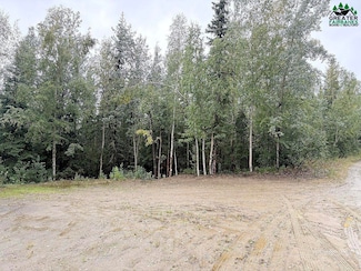 NHN Obsidian Ct, Goldstream, AK 99709