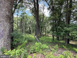 82 Cabin Rd, Augusta, WV 26704