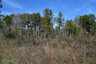 1390 Shady Grove Rd, Jefferson, TX 75657