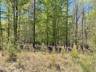 Lot 13 Tarragon Way, Moneta, VA 24121