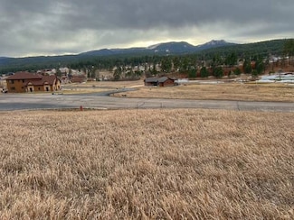 N/A Apple Springs Blvd Unit 10, Boulder Canyon, SD 57785