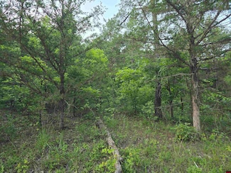 001-01664-000 Hopewell Hollow Rd, Norfork, AR 72658