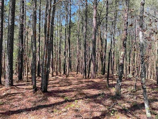 TBD Woodland Springs Dr, Mount Ida, AR 71957