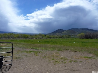 10 Lower Colony Rd, Smith Valley, NV 89444