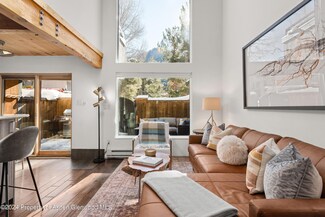 1024 E Cooper Ave Unit 3, Aspen, CO 81611