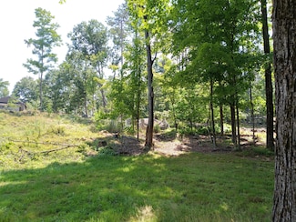 95 Walnut Hill Rd, Shapleigh, ME 04076