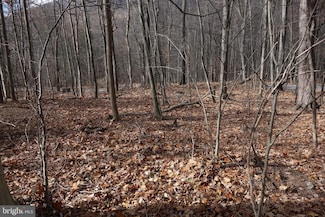 22556 Loop Rd, Fannett Township, PA 17219