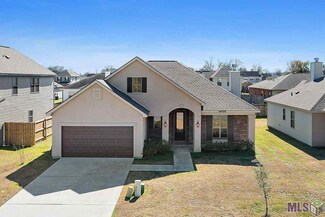 39105 Bayou View Ave, Gonzales, LA 70737