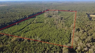 0 Hwy, Winnfield, LA 71483