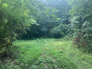 0 Hwy 129n Unit 26019578, Robbinsville, NC 28771