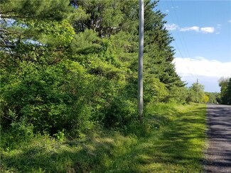 0 Duck Lake Rd Unit S1051575, Port Byron, NY 13140