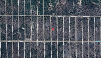 212 Maine Terrace, Hawthorne, FL 32640