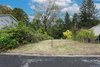 99 Gross St, Kingston, NY 12401