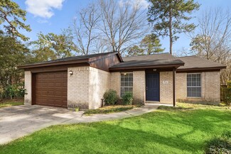 22 N Wavy Oak Cir, Spring, TX 77381
