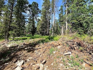 Lot 25 Blue Sky Loop, Lead, SD 57754