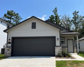 16906 Pandora Way, Porter, TX 77365