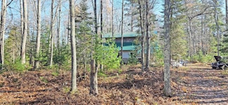 685 Brian Rd, Lapointe, WI 54850