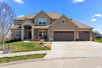 11302 N Onyx Ln, Dunlap, IL 61525