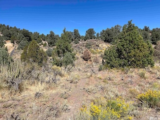 2498 Cartwright Rd, Reno, NV 89521