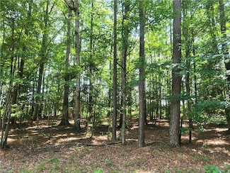 LOT 18 Pinecrest Dr, Southampton County, VA 23827