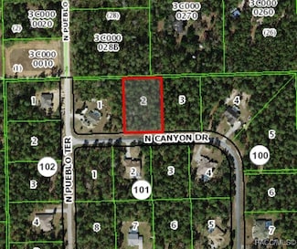 6175 N Canyon Dr, Beverly Hills, FL 34465