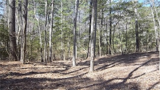 00 Rocky Point Landing, Cobbs Creek, VA 23035