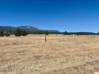 713-400 Jeters Rd, Janesville, CA 96114