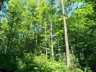 0 Bear Notch Unit 4600426, West Fairlee, VT 05083