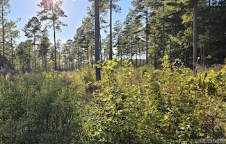 Lot 3 Christanna Hwy, Lawrenceville, VA 23868