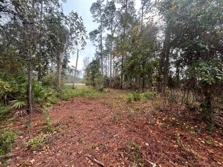 Tbd Susan St, Interlachen, FL 32148
