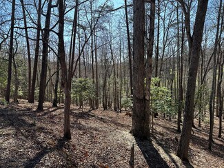 Lot 40 Asheland Cove Dr, Young Harris, GA 30582
