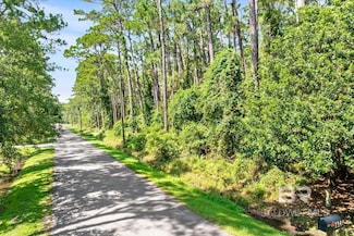 136 Mississippi St Unit 10, Dauphin Island, AL 36528