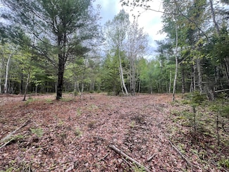 4 Taylor Woods Rd, Waltham, ME 04605