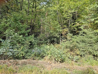 Lot 11.2 McCorrison Rd, Southeast Piscataquis, ME 04463