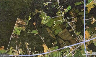 23240 Walkers Branch Rd, Unionville, VA 22567